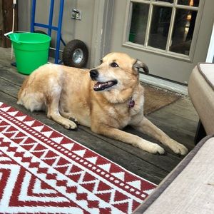 Meet your Posher, Mitchell